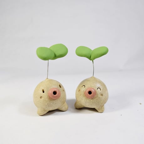 「ふたば君」今から伸びたい君へ♪植物から芽が出るときって一番勢いがある時です♪