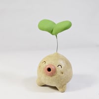 「ふたば君」今から伸びたい君へ♪植物から芽が出るときって一番勢いがある時です♪