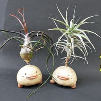 【注文制作品】として復活！エアープランツ用スタンドの土ぼっくり「ぷらんつ君」◆ペン立てにもなりますよー♪