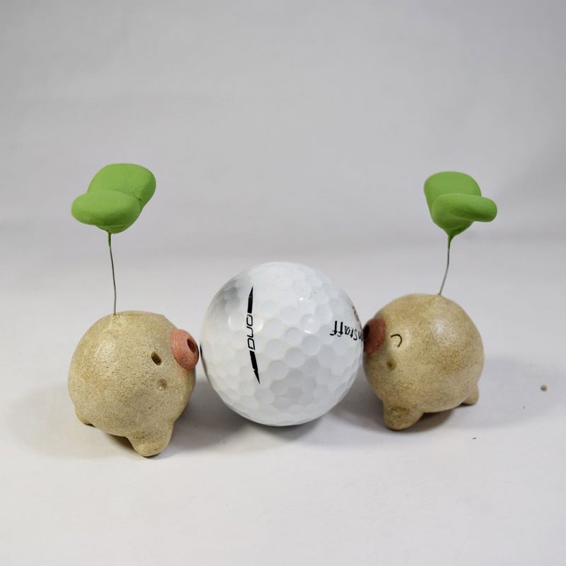 ふたば君」今から伸びたい君へ♪植物から芽が出るときって一番勢いが