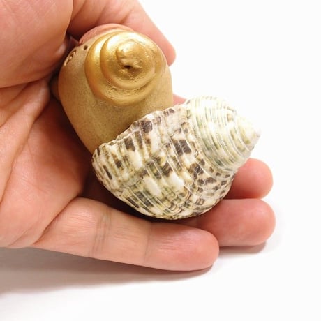 海に住んでいるかも「かいうん君」ヤドカリじゃないよ♪貝とウンでかいうん君ですよ♪