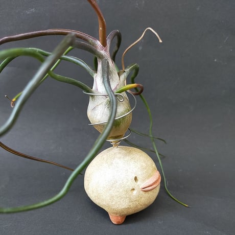 【注文制作品】として復活！エアープランツ用スタンドの土ぼっくり「ぷらんつ君」◆ペン立てにもなりますよー♪