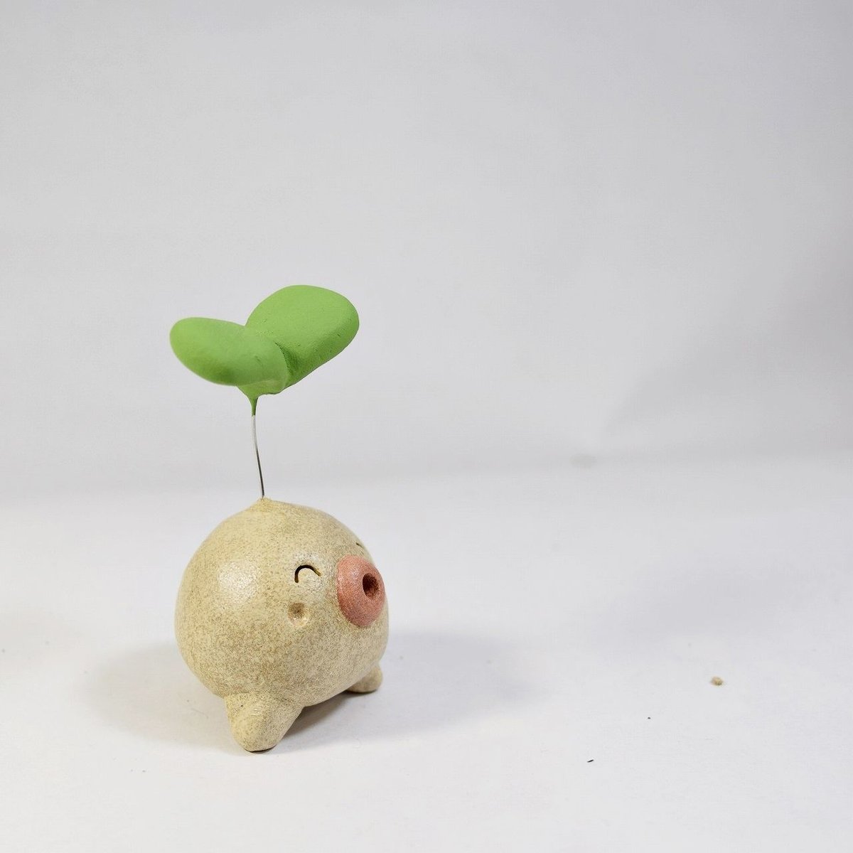 ふたば君」今から伸びたい君へ♪植物から芽が出るときって一番勢いが