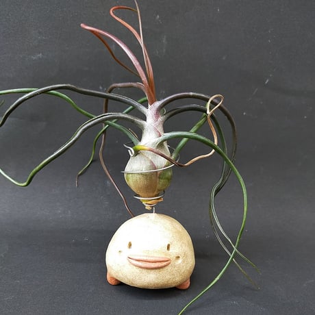 【注文制作品】として復活！エアープランツ用スタンドの土ぼっくり「ぷらんつ君」◆ペン立てにもなりますよー♪