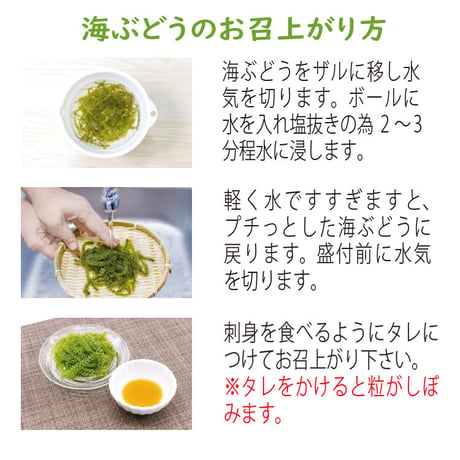 海ぶどう　3個　お試しセット