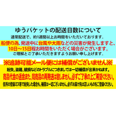 ニコニコシーサーマグネット　　コロナ　ギフト　沖縄　お土産　魔除け