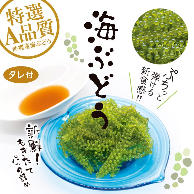 海ぶどう 3個 お試しセット | 美らさんぴんOKINAWA MART
