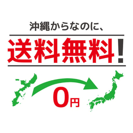 涼夏広口　ペアセット　ギフト付き