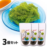 海ぶどう　3個　お試しセット