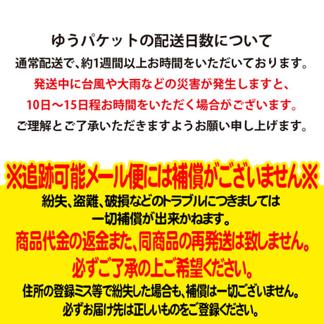 アクリルお守りシーサー　御守　小