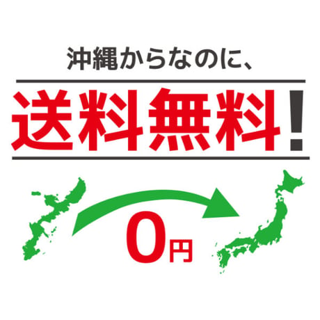 海のブレスレット　選べる3本セット