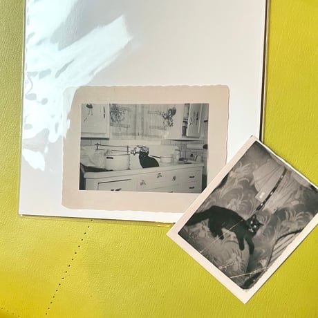 THE FOREVER CAT／ZINE「The Black Cat」