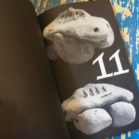 廣瀬颯／ZINE『Lightning Vortex』