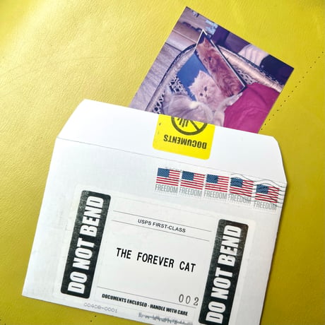 THE FOREVER CAT／Cat Card Set #2