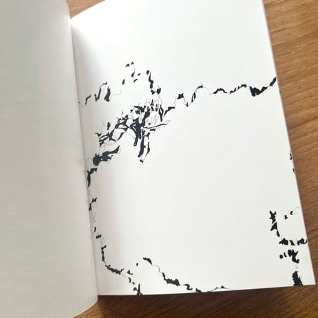 小林琴美／「AFTER THE OBJECT in the case of teddy bear」