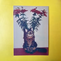 THE FOREVER CAT／ZINE「Flowers」