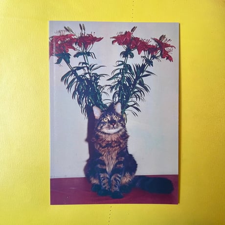 THE FOREVER CAT／ZINE「Flowers」