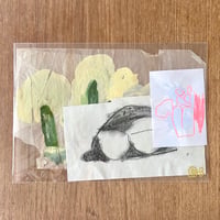 たにこのみ／Drawing Set