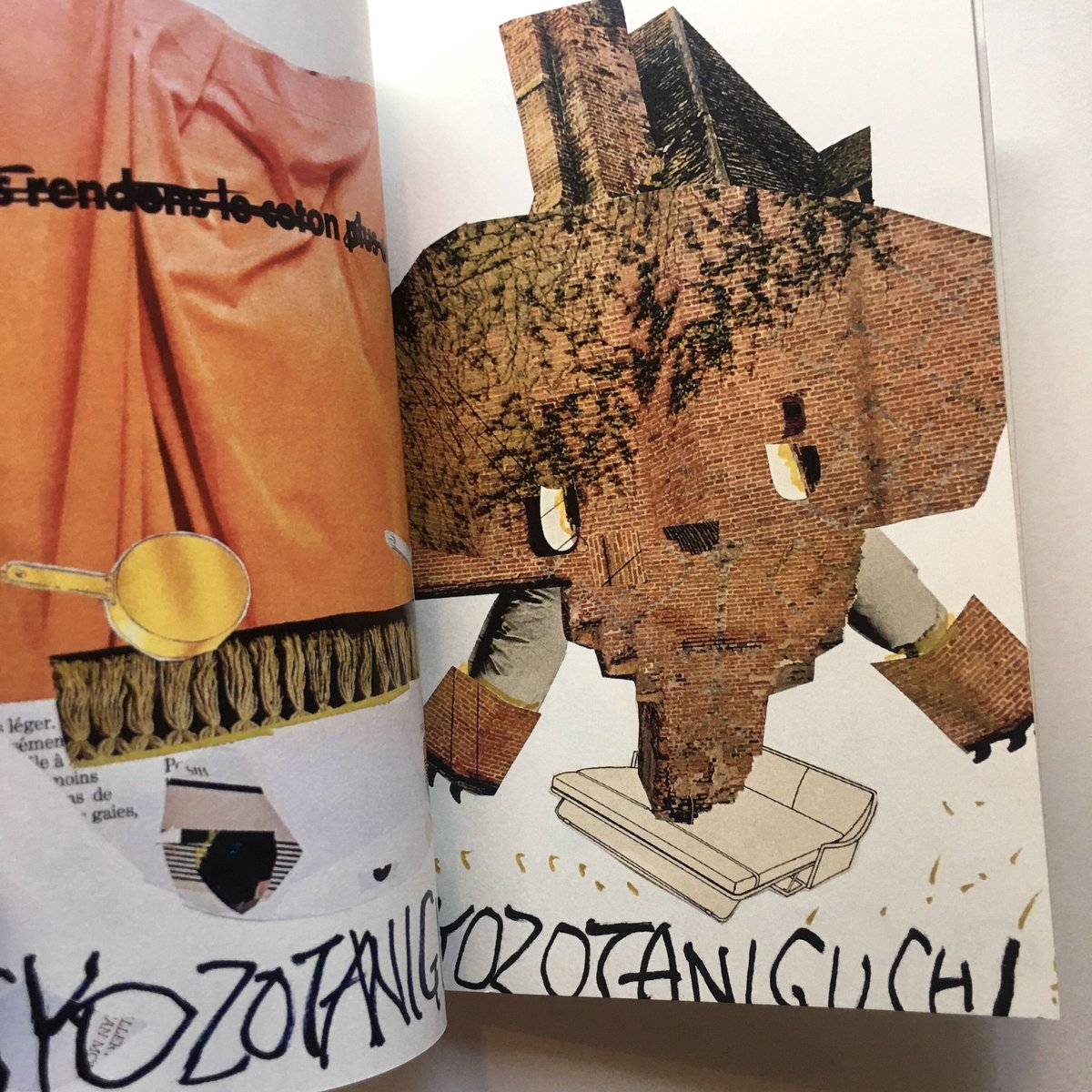 SYOZO TANIGUCHI／ZINE『VIVID VOICE』 | DOMA STORE
