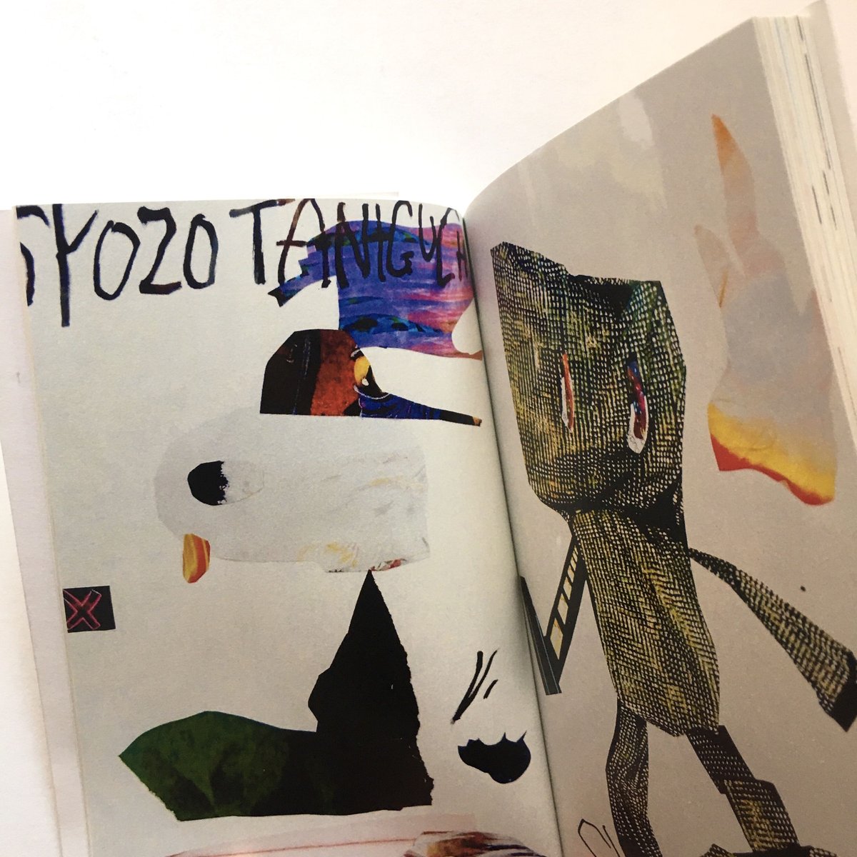 SYOZO TANIGUCHI／ZINE『VIVID VOICE』 | DOMA STORE