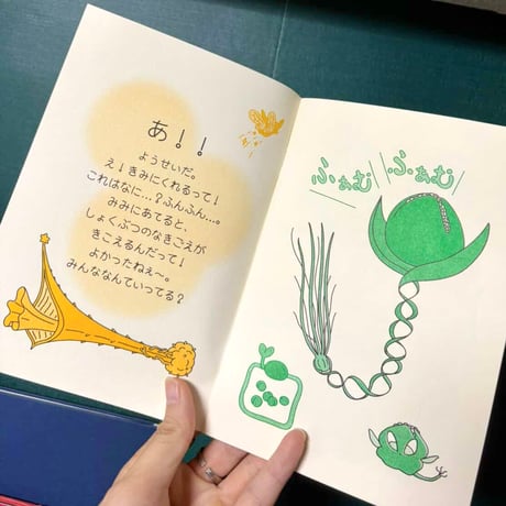 NOY／ZINE「PHYTOSOCIOLOGY」
