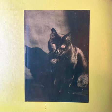 THE FOREVER CAT／ZINE「The Black Cat」