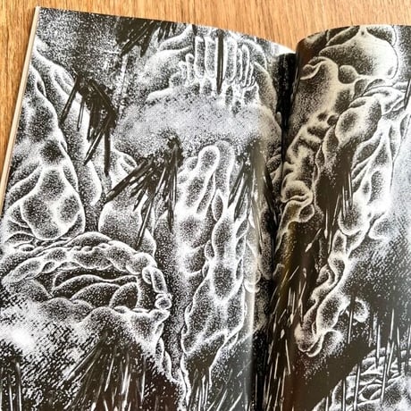 ANAL DRAGON (ohiana 他)／zine「ANAL DRAGON」