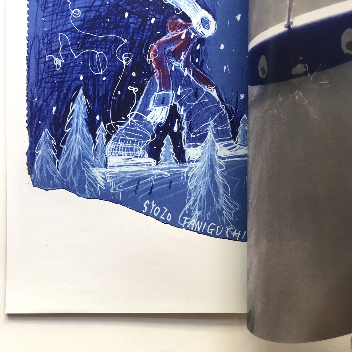 SYOZO TANIGUCHI／ZINE『UNDER THE GOLDEN RAIN』 | D