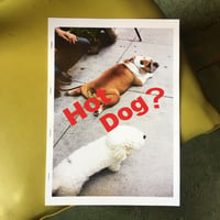 時吉あきな／ZINE「Hot Dog ?」