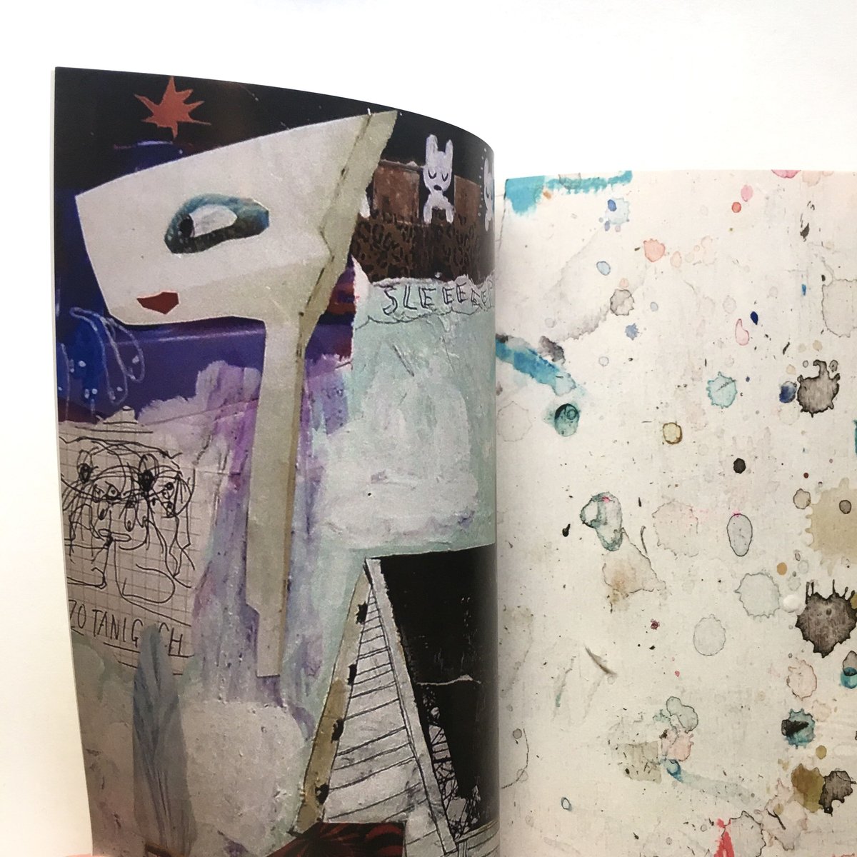 Syozo Taniguchi zine 谷口正造作品集 SYOZO TANIGUCHI／ZINE『RUN』 | DOMA STORE