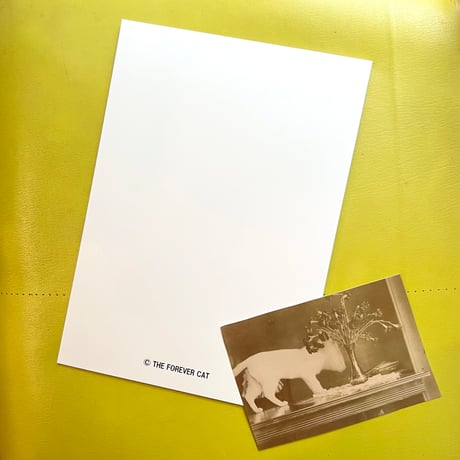 THE FOREVER CAT／ZINE「Flowers」