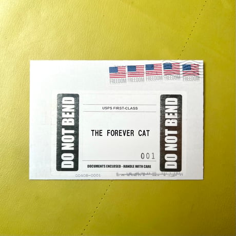 THE FOREVER CAT／Cat Card Set #1