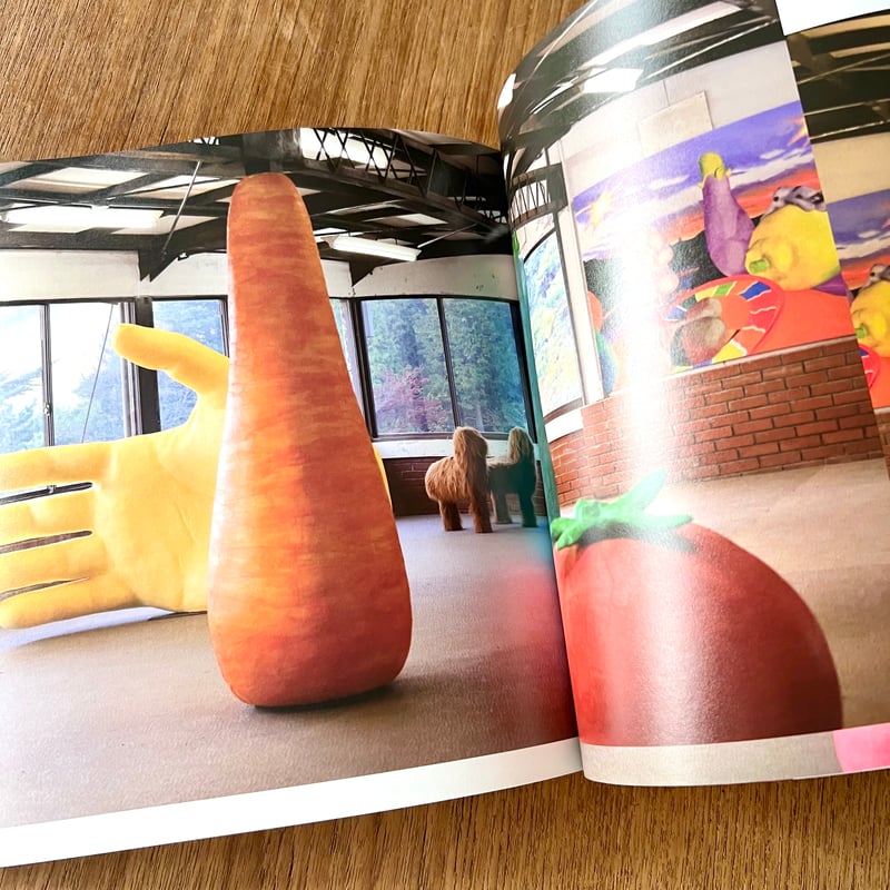 伊藤彩（AYA ITO） ／作品集「RAPID RABBIT HOLE」 | DOMA STORE