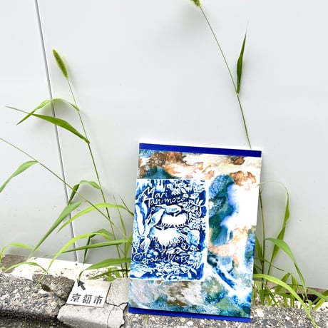谷本真理／作品集『Ceramic Works』