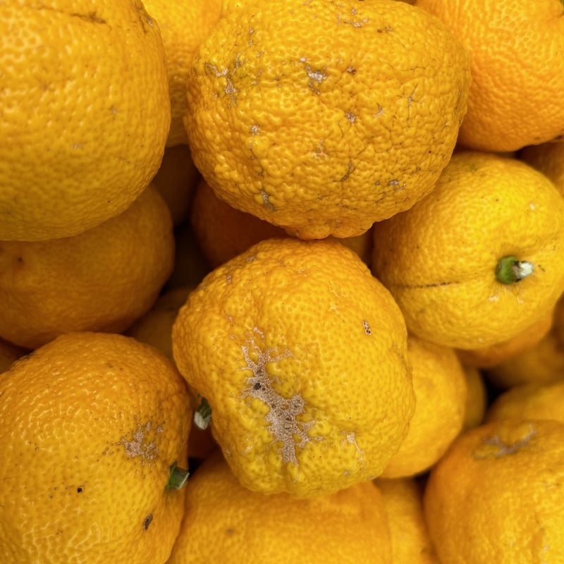 ☘️ 専用★ゆず様　☘️☘️ ※画像1〜5 r21710610.jpg