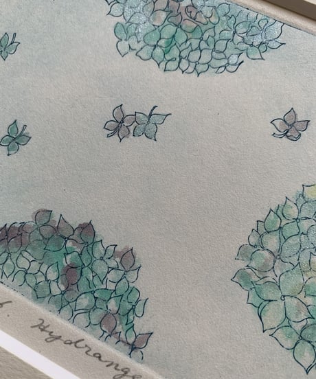 6.Hydrangea　エッチングエディショ3/50 (a flower language  of you…..)