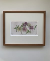 12.Christmas rose　 エッチングエディショ1/50 (a flower language  of you…..)