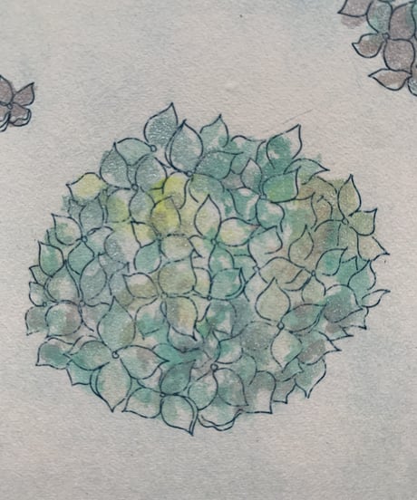 6.Hydrangea　エッチングエディショ3/50 (a flower language  of you…..)