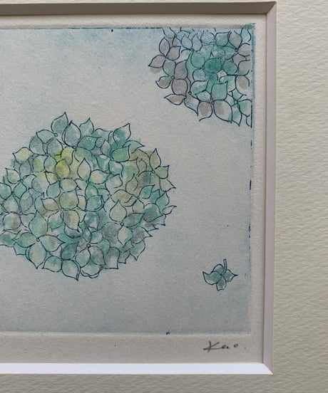 6.Hydrangea　エッチングエディショ3/50 (a flower language  of you…..)