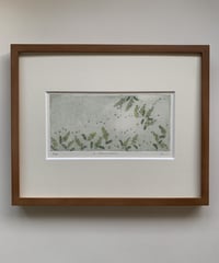 3.Mimosa　エッチングエディション2/50 (a flower language  of you…..)