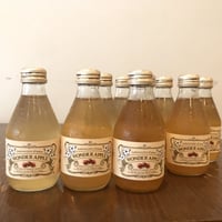 [青森県] WONDER APPLE りんごジュース 11本(いろいろ)