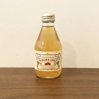 [青森県] WONDER APPLE りんごジュース  トキ  / 1本