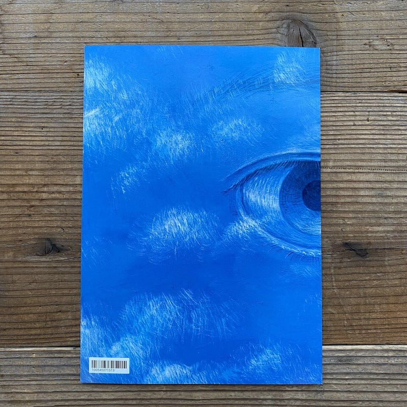 書の風景 Amazon.com: 書の風景: 9784839318864: Kaisin Makuta: Books