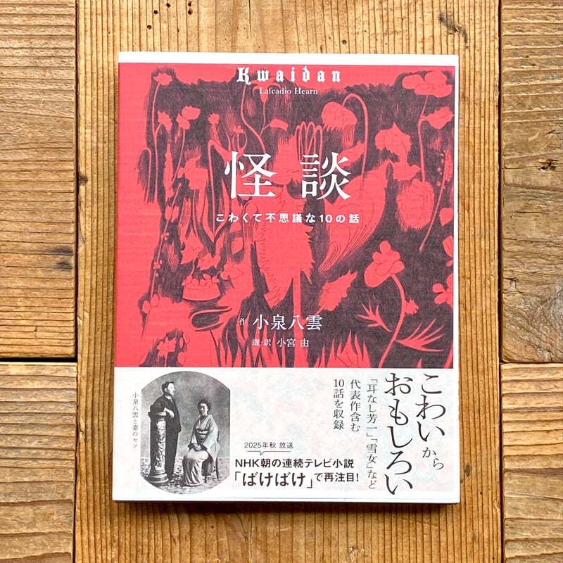 【希少廃盤】日本で一番恐い話～江戸怪談～ 学校の怪談【名作セレクション】〈DVD〉（TDV25271D）｜劇場版