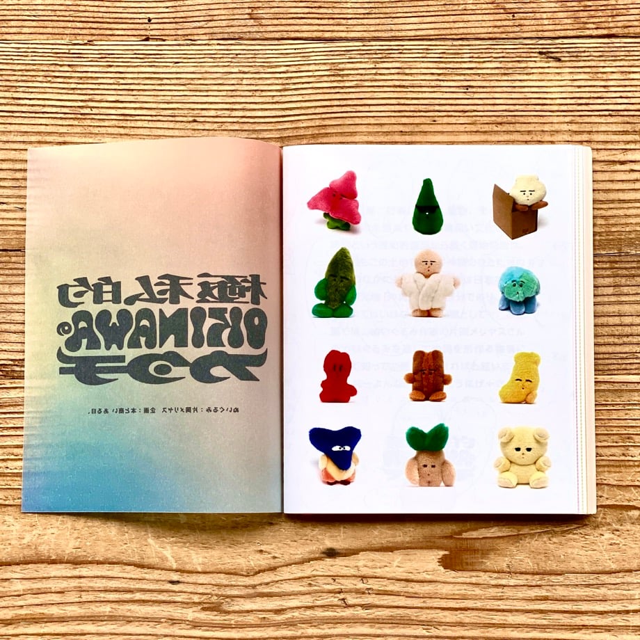 作品集『極私的 OKINAWAのカタチ』／片岡メリヤス | 1003 ONLINE STORE