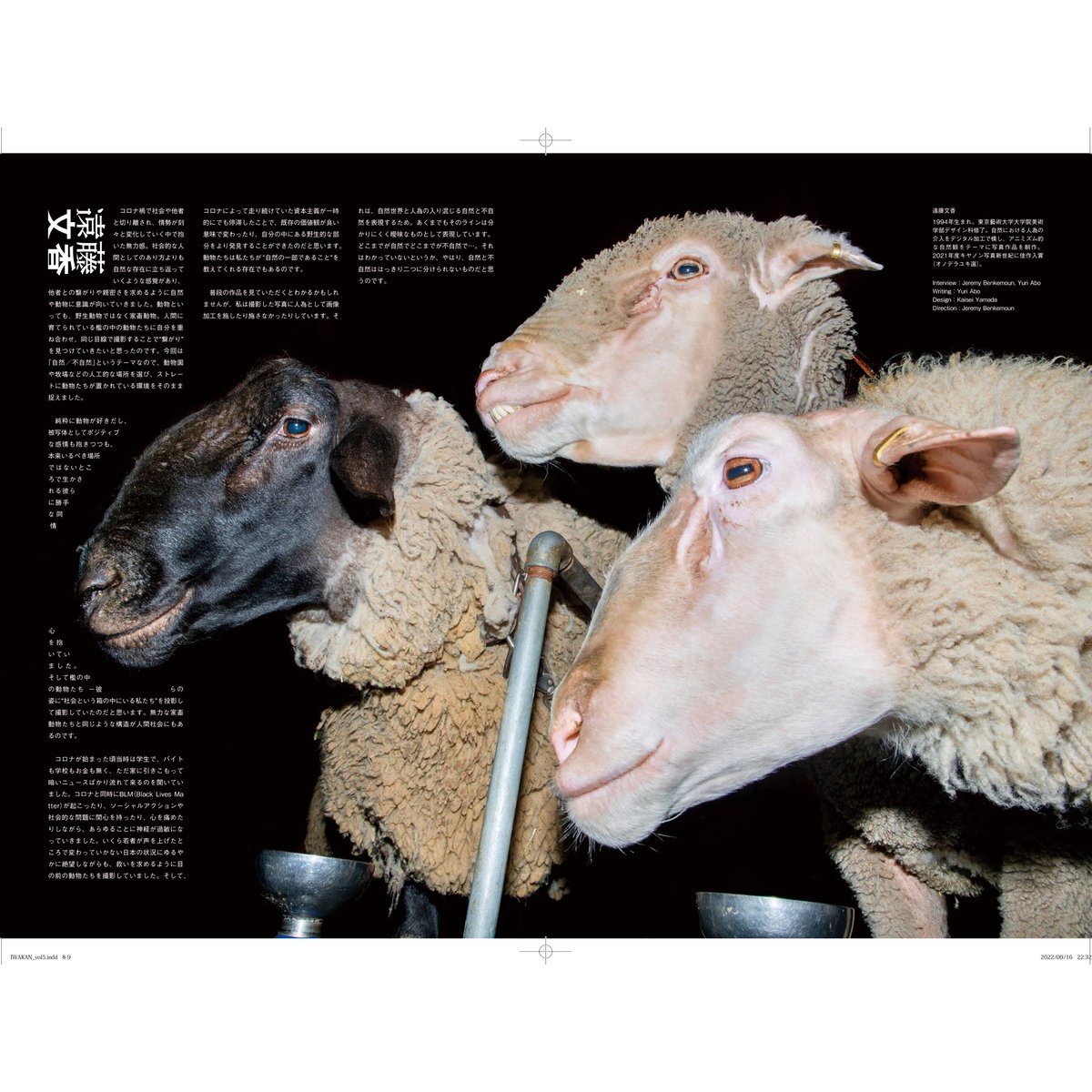 カット野菜品質・衛生管理ハンドブック/サイエンスフォ-ラム/泉秀実（単行本） カット野菜品質・衛生管理ハンドブック/サイエンスフォ-ラム/泉