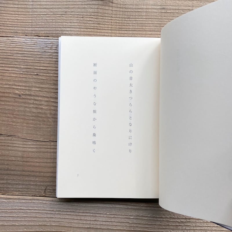 自筆句・署名入》夜の水平線 津川絵理子句集 ／ 津川絵理子 | 1003