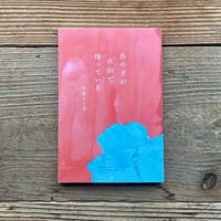 あの子が火山で待っている／中島とう子