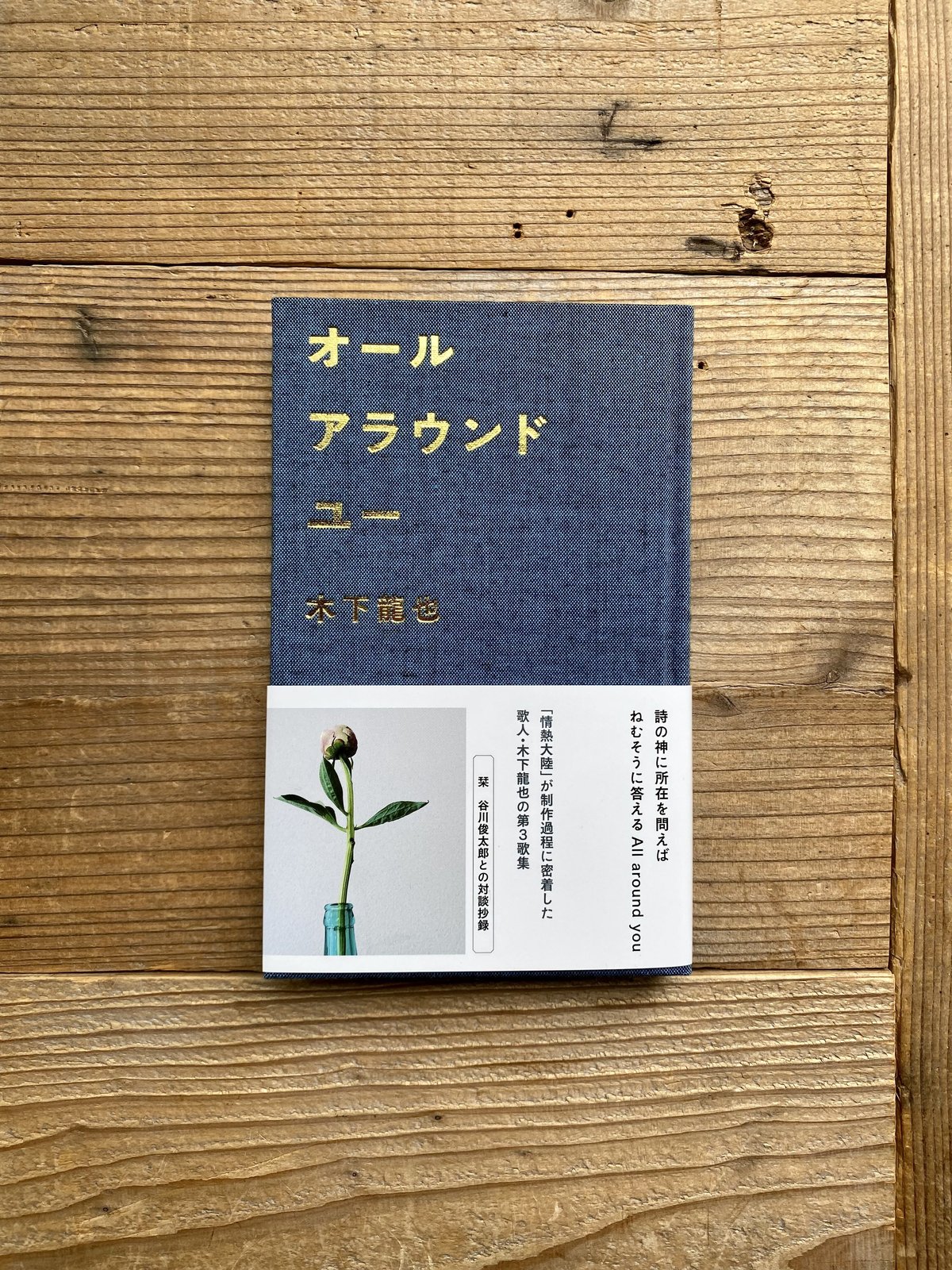 木下友爾 定本 全作品 詩集 句集 抒情系 NHK朝ドラ あんぱん 登場 詩に