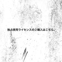 (通常)独占使用ライセンスのご購入